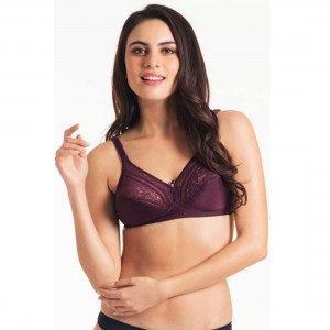 Triumph Burgundy Form And Beauty Wireless Bra