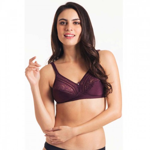 Triumph Burgundy Form And Beauty Wireless Bra